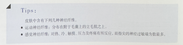 成都美甲培训