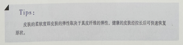 成都美甲培训